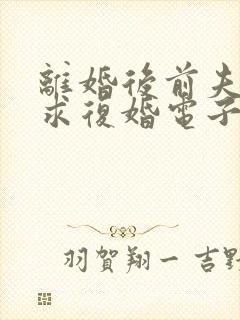 离婚后前夫哭着求复婚电子书阅读