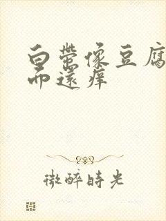 白带像豆腐渣下面还痒