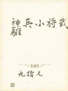 神兵小将武勇问骓封面