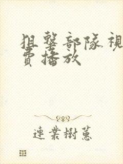 狙击部队视频免费播放