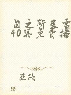 目之所及电视剧40集免费播放