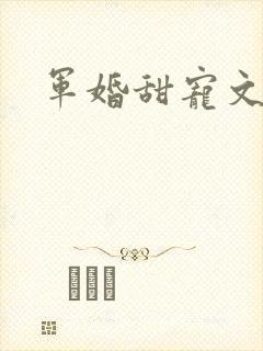 军婚甜宠文推荐