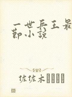 一世兵王最新章节小说