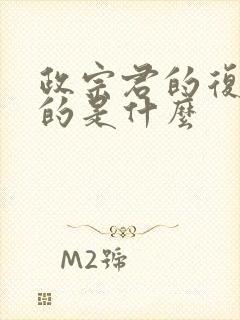 政宗君的复仇讲的是什么