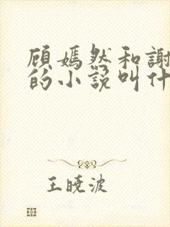 顾嫣然和谢璟辞的小说叫什么名字