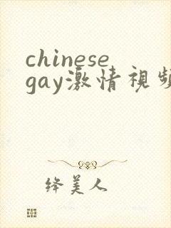 chinesegay激情视频