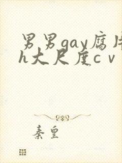 男男gay腐片h大尺度cⅴ小蓝