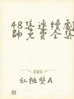 48集连续剧少帅免费全集观看封面