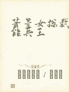 萧晨女总裁的全能兵王