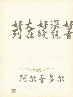 好大好深好爽系列在线观看