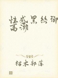 性感黑丝御姐艹高潮