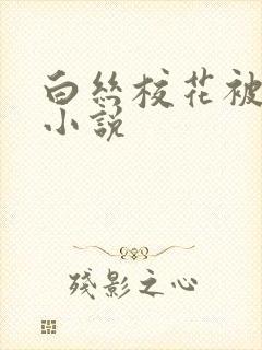 白丝校花被调教小说