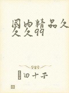 国内精品久久久久久99