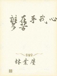 谁在乎我心里有多苦