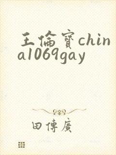 王伦宝china1069gay封面
