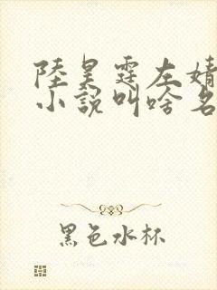 陆昊霆左婧妍的小说叫啥名字