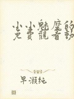 小小魅魔的仆人免费观看动漫版全集