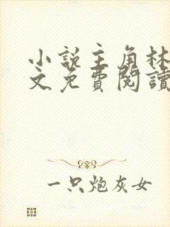 小说主角林枫全文免费阅读