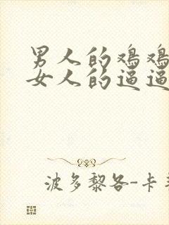 男人的鸡鸡插进女人的逼逼