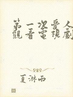 第一次爱人免费观看电视剧完整版高清封面