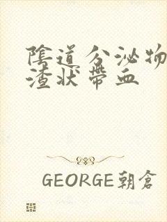 阴道分泌物豆腐渣状带血