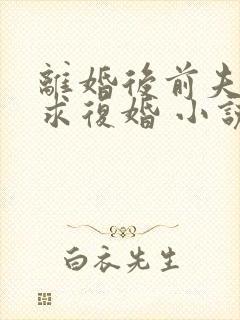 离婚后前夫哭着求复婚 小说全集完整版