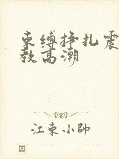 束缚挣扎震动调教高潮