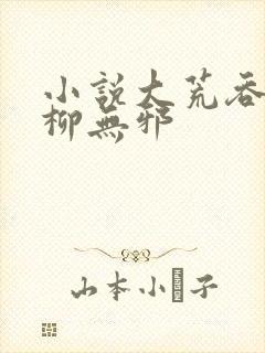 小说大荒吞天诀柳无邪