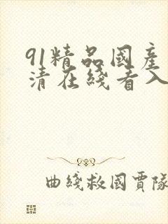 91精品国产高清在线看入口