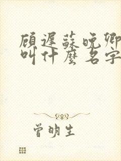 顾迟苏晚卿小说叫什么名字封面