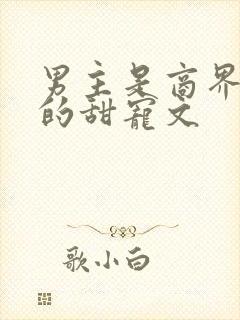 男主是商界大佬的甜宠文