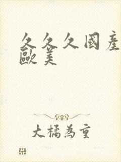 久久久国产精品欧美