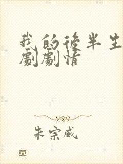 我的后半生电视剧剧情