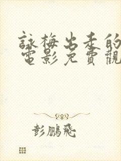 咏梅出走的决心电影免费观看全集