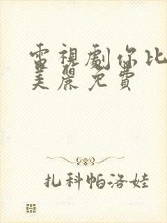 电视剧你比星光美丽免费