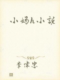 小妈h小说封面