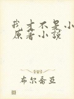 我才不是小可怜原著小说