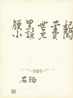 腹黑世子妃日常小说免费阅读封面