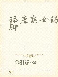 舔老熟女的丝袜脚封面