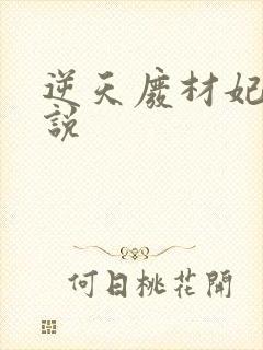 逆天废材妃 小说