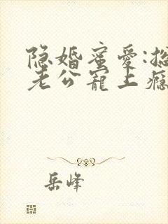 隐婚蜜爱:总裁老公宠上瘾 完本封面