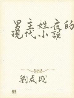 男主姓夜的所有现代小说封面