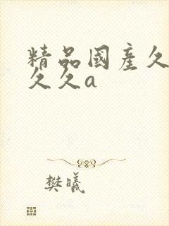 精品国产久久久久久a