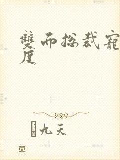 双面总裁宠妻无度