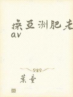 操亚洲肥老熟女av