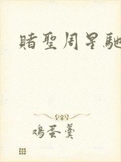 赌圣周星驰国语