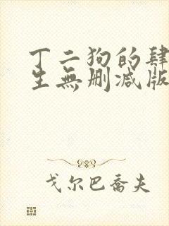 丁二狗的肆意人生无删减版 小说