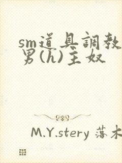 sm道具调教男男(h)主奴封面