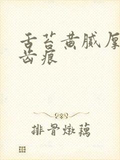 舌苔黄腻厚白有齿痕