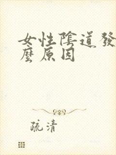 女性阴道发炎什么原因